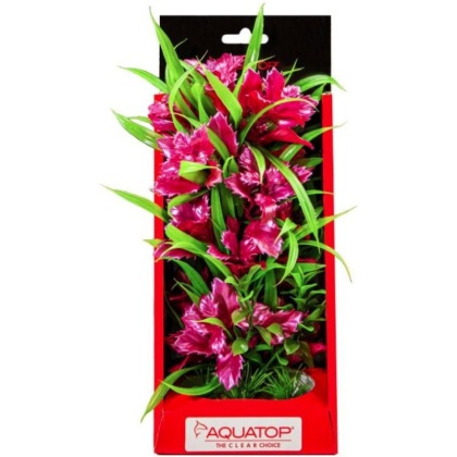 Aquatop Vibrant Passion Aquarium Plant Rose - 10\