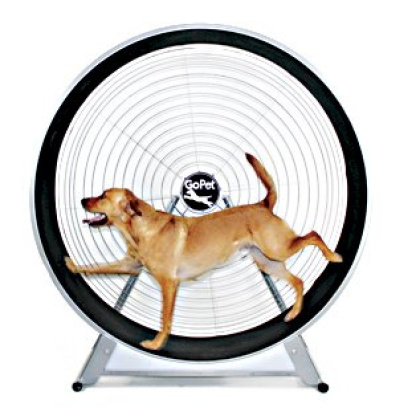 Dog TreadWheel for Medium and Large Dogs | GoPet
