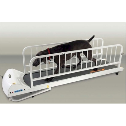 Dog Treadmill for Large Dogs | GoPet PetRun PR725 