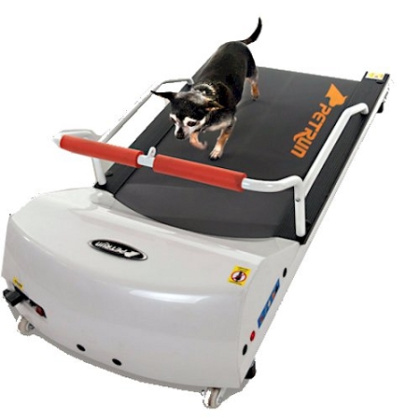 Dog Treadmill for Small Dogs | GoPet PetRun PR700 